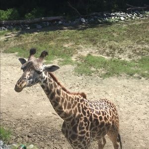 Meet your Posher, Erika